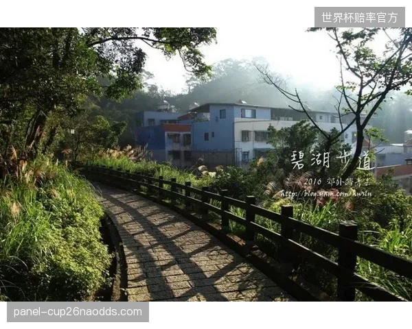 台北内湖运动公园的成功是个例还是范本？为何多数城市的水上设施规划仍旧面临周边社区的“邻避效应”抵制？